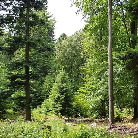 Fewo Krehberg Апартаменты